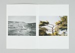 http://www.evelisemillet.fr/files/gimgs/th-42_web_influences_naturelles_03.jpg