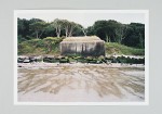 http://www.evelisemillet.fr/files/gimgs/th-42_web_influences_naturelles_05.jpg